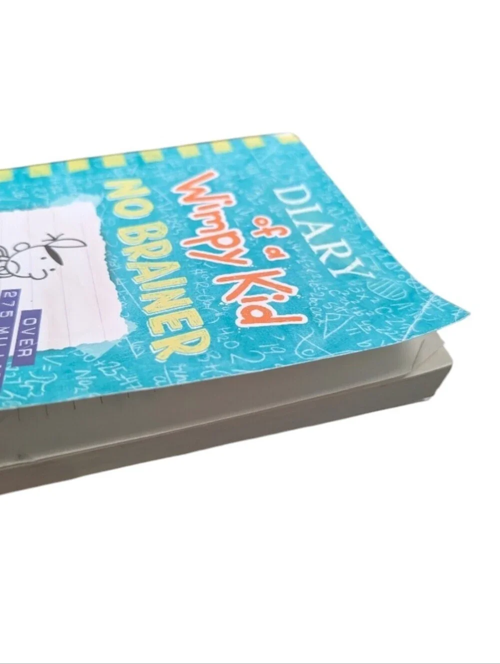 2 Diary of a Wimpy Kid Books